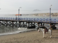 Visitors on the beach